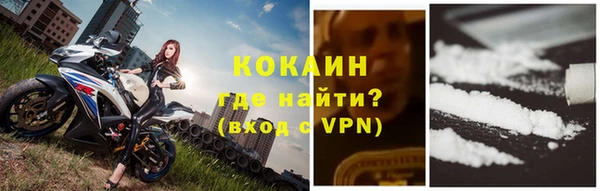 МДПВ Гусев