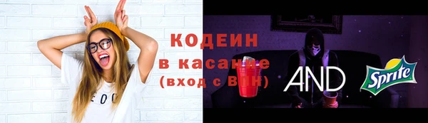 PSILOCYBIN Гусь-Хрустальный