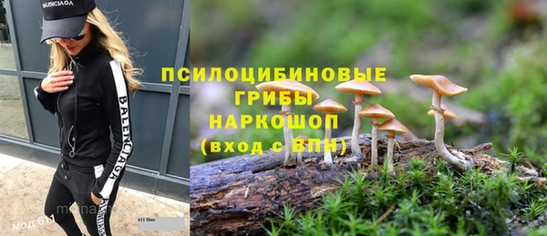 PSILOCYBIN Гусь-Хрустальный