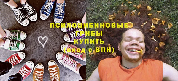PSILOCYBIN Гусь-Хрустальный