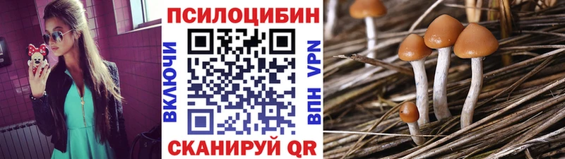 Купить закладки  Киселёвск  Псилоцибиновые грибы MAGIC MUSHROOMS 