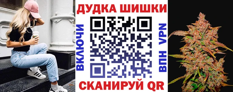 Бошки Шишки план  Купить закладки  Киселёвск 